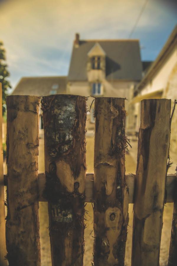 Le Petit Nancay Bed & Breakfast Thenioux Exterior photo